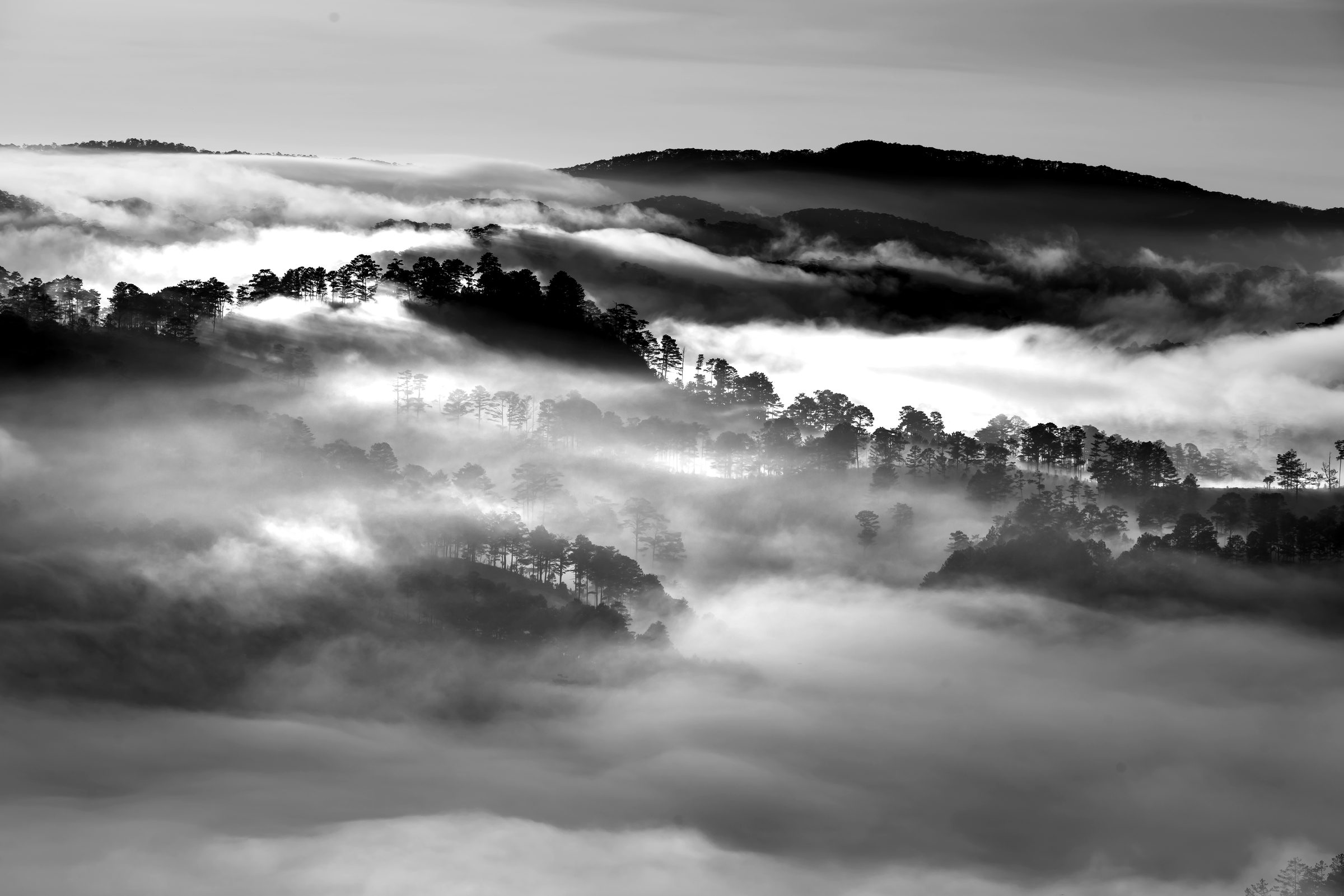 Forested ridges emerging from a sea of cloud at altitude